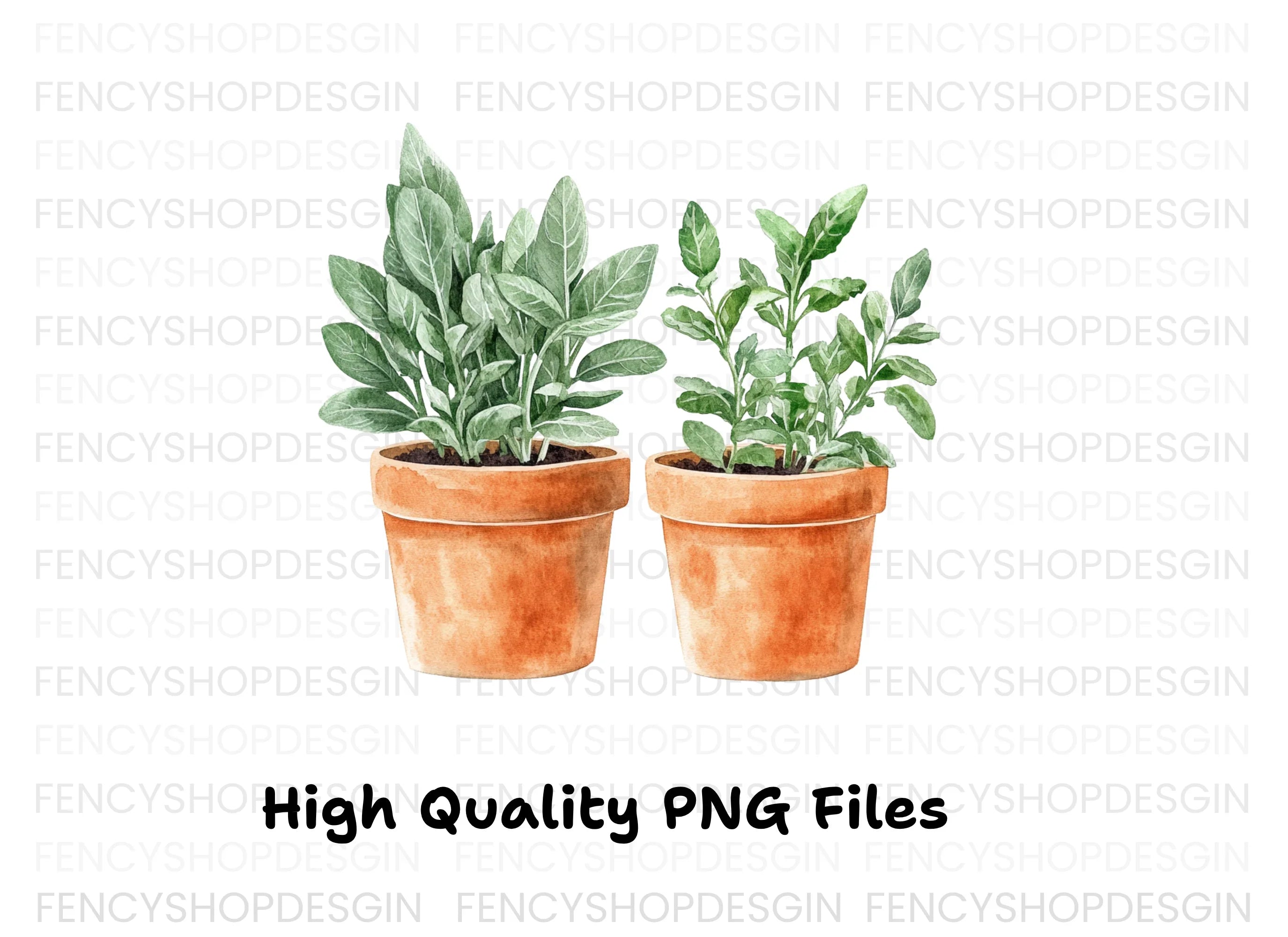 Herb Garden Potted Plants Clipart Bundle