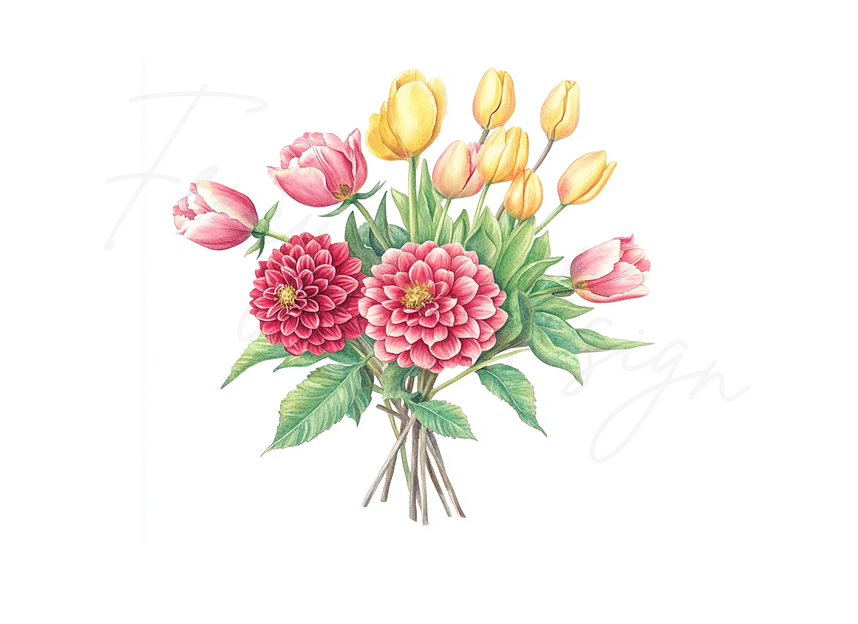 Dahlia and Tulip Bouquet Clipart Bundle
