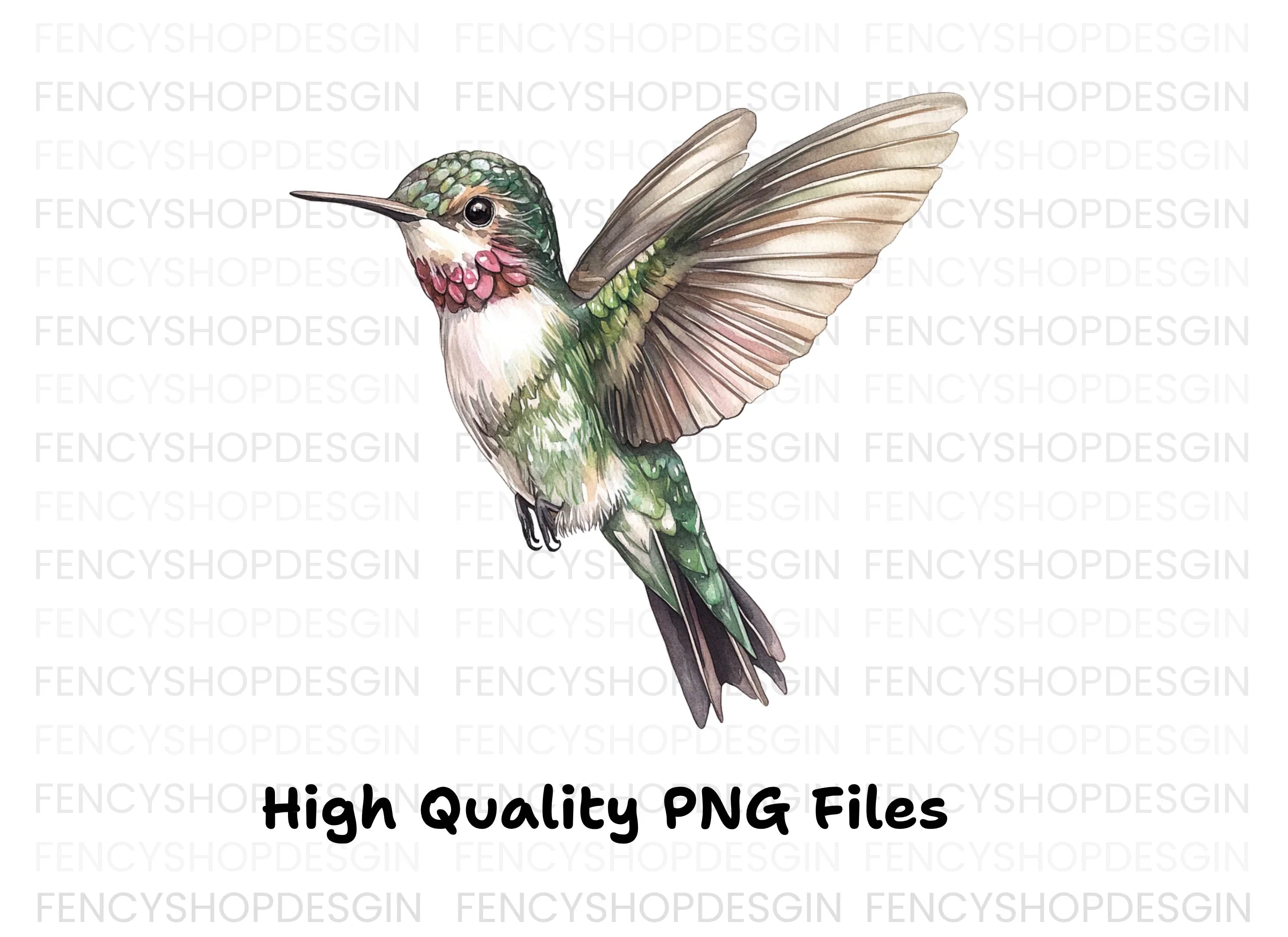 Hummingbird Clipart Bundle