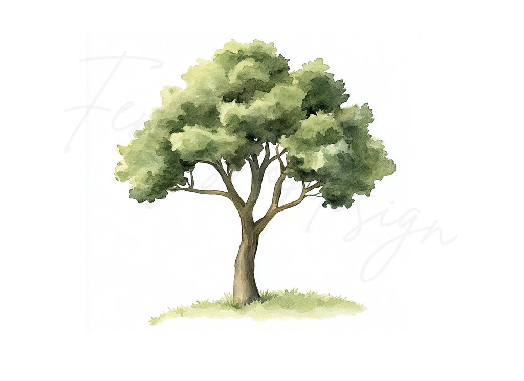 Trees Clipart Bundle