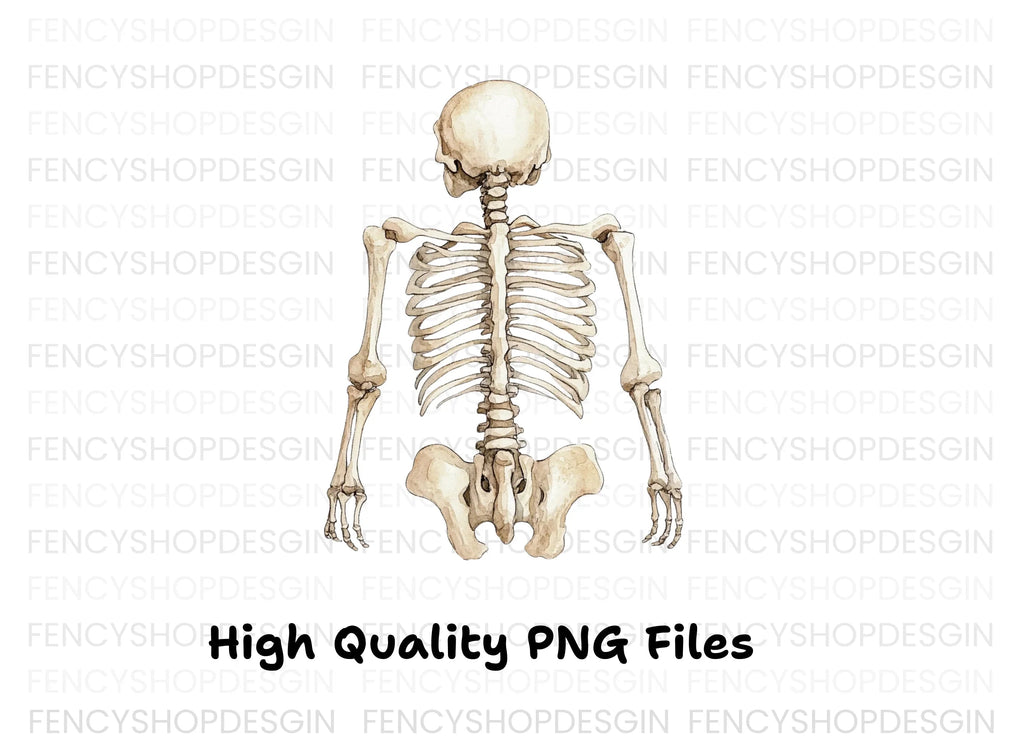 Human Skeleton Clipart Bundle