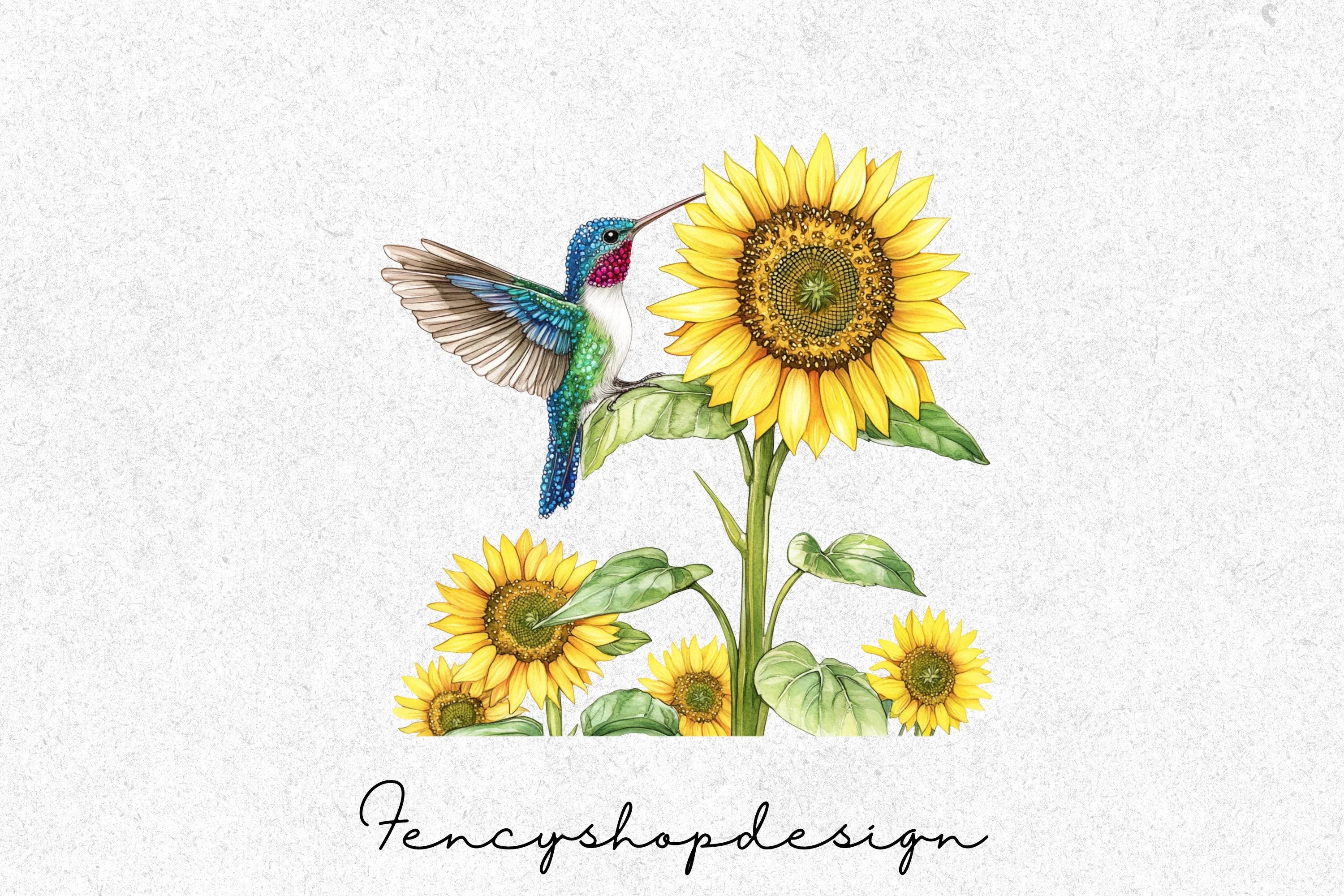 Vibrant Hummingbird Blossom Clipart Bundle