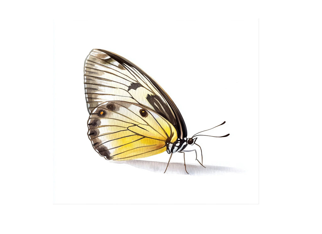 Yellow Butterfly Clipart Bundle