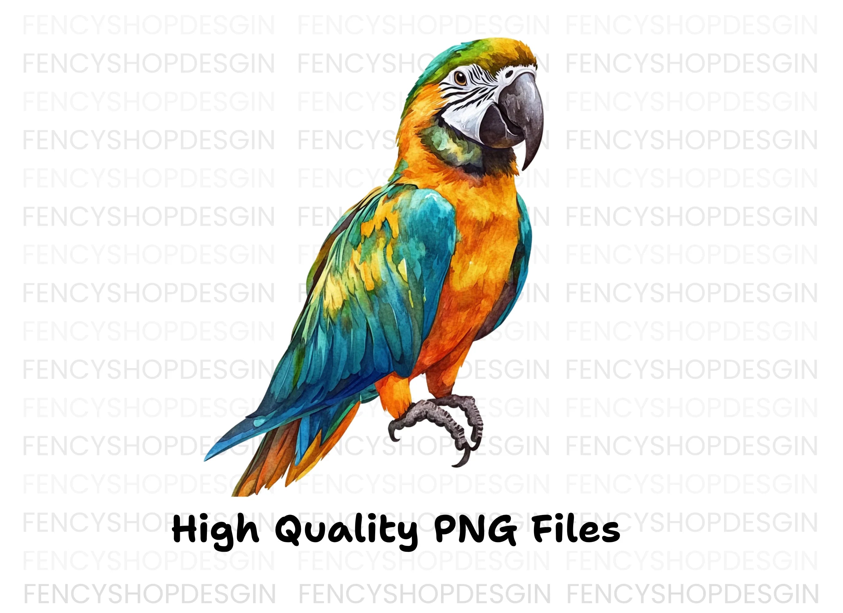 Vibrant Macaw Clipart Bundle
