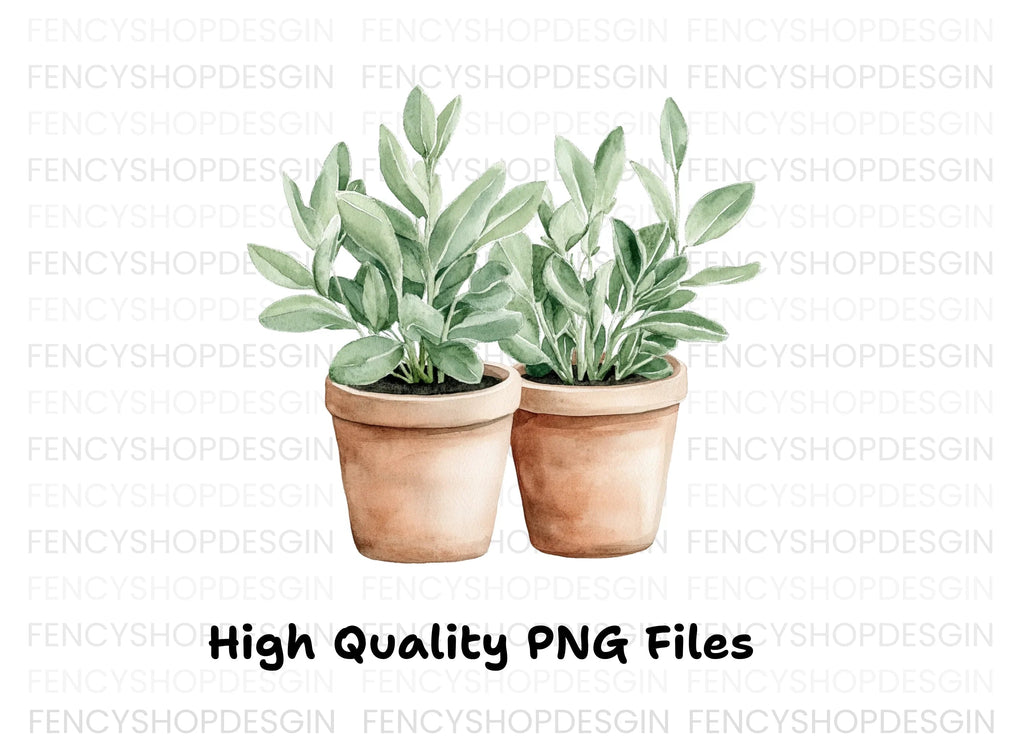 Potted Herbs Clipart Bundle