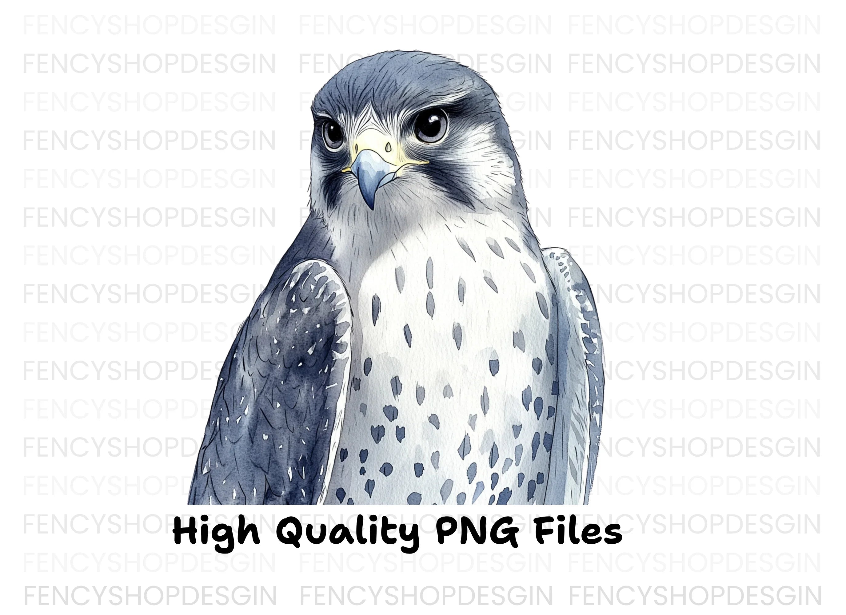 Majestic Falcon Clipart Bundle