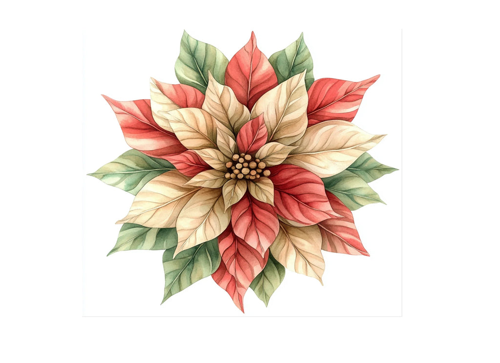 Poinsettia Christmas Flower Clipart Bundle