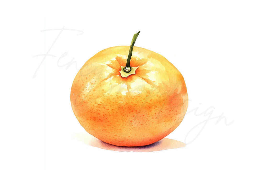 Whole Orange Fruit Clipart Bundle