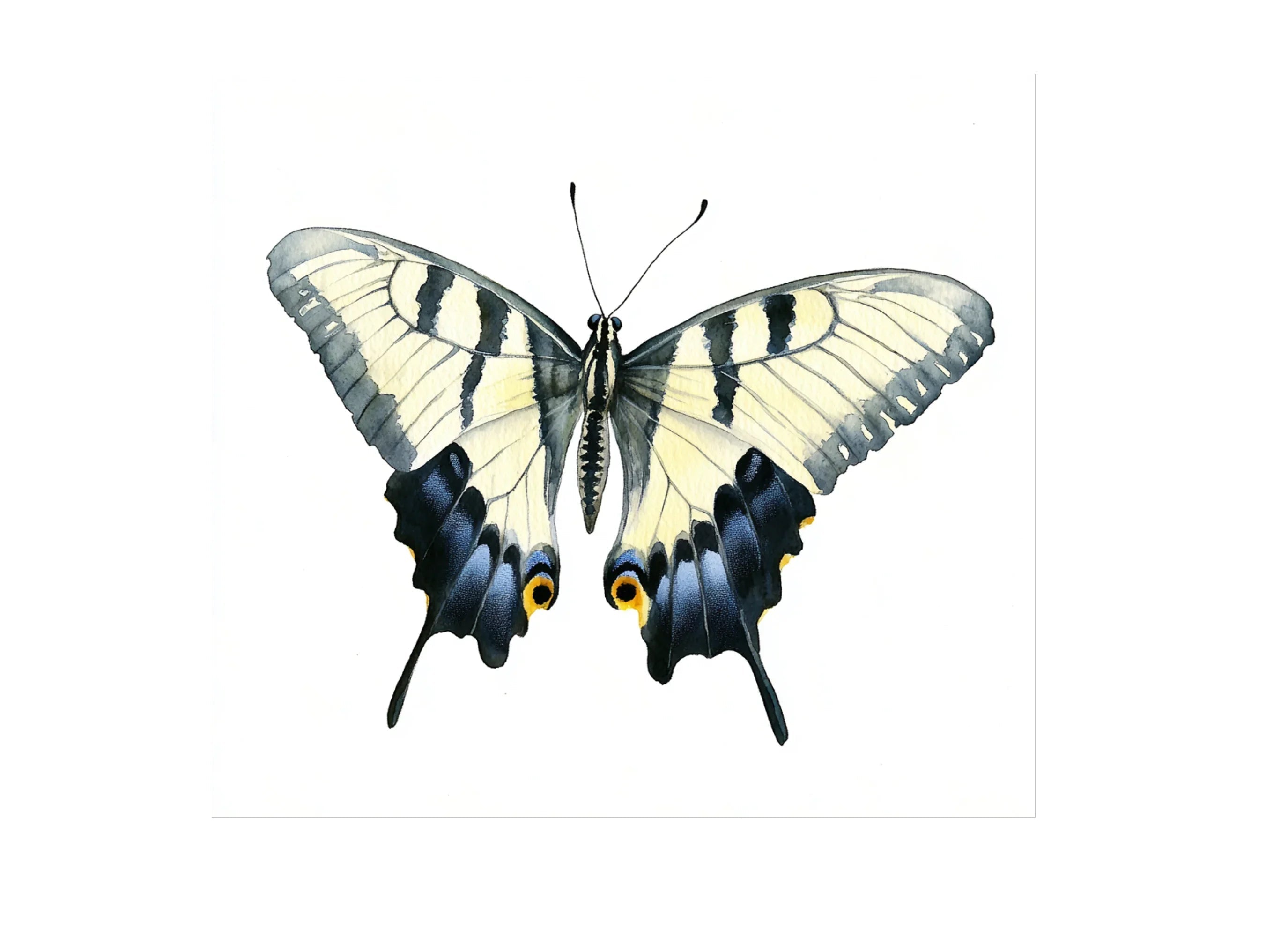 Swallowtail Butterfly Clipart Bundle
