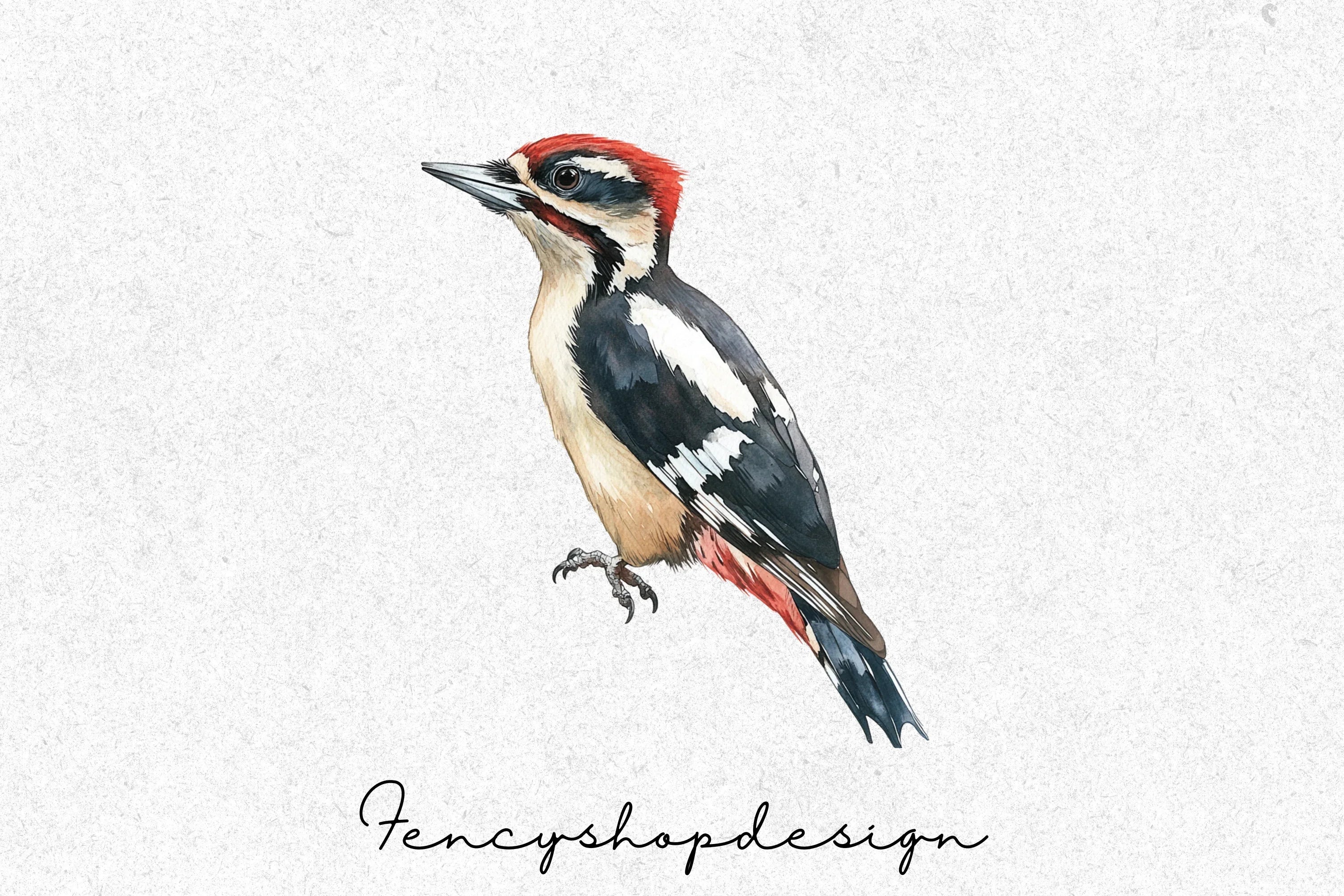 Charming Birds Clipart Bundle
