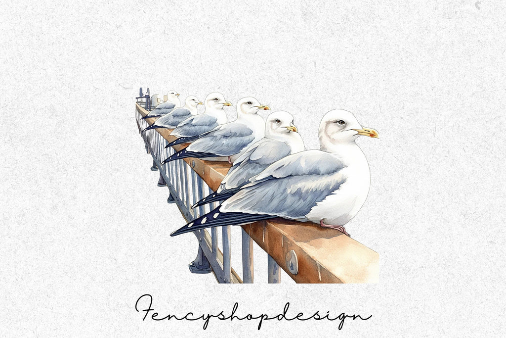 Seagull Coastal Marine Birds Clipart Bundle