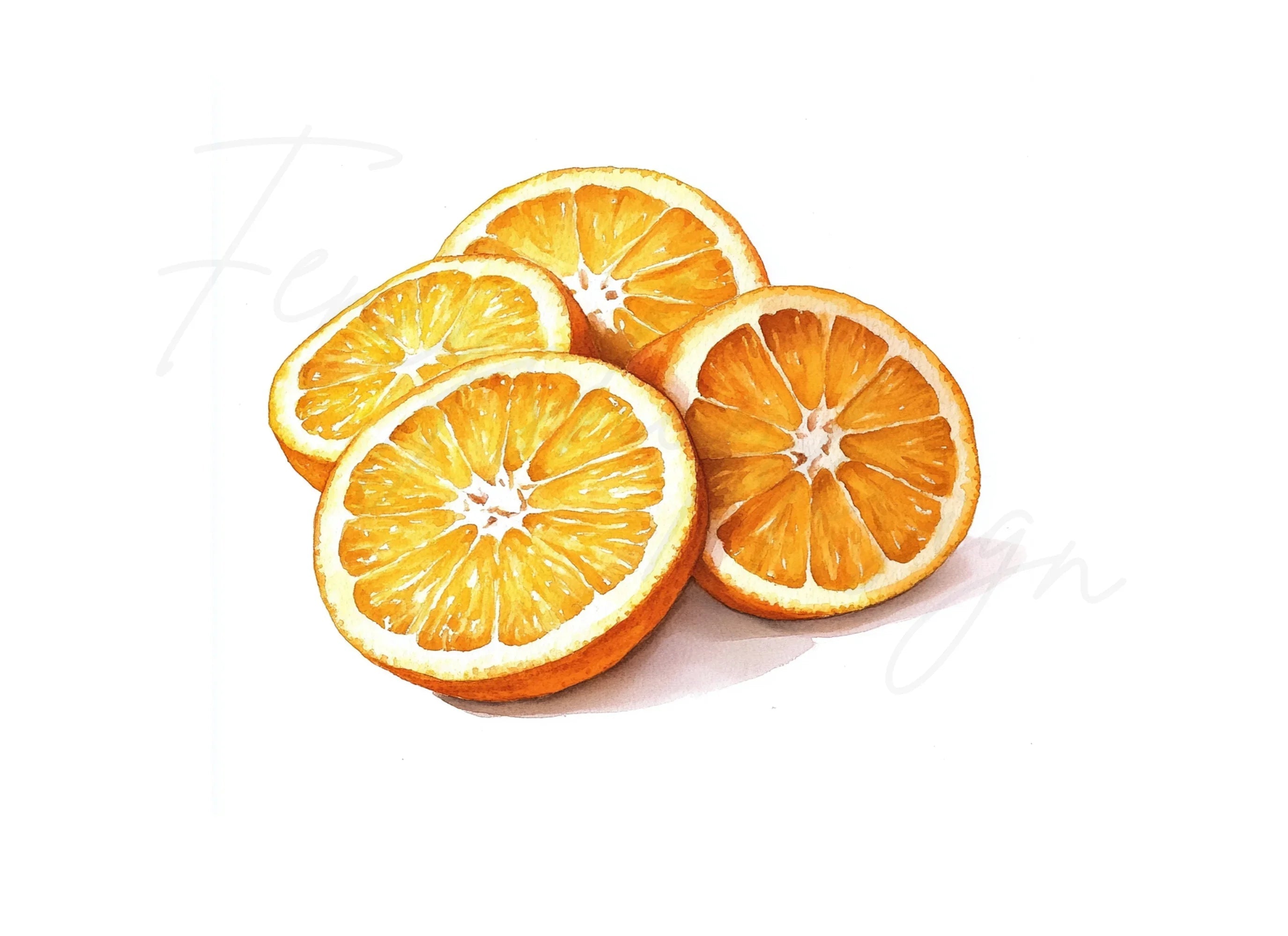 Fresh Orange Slices Clipart Bundle