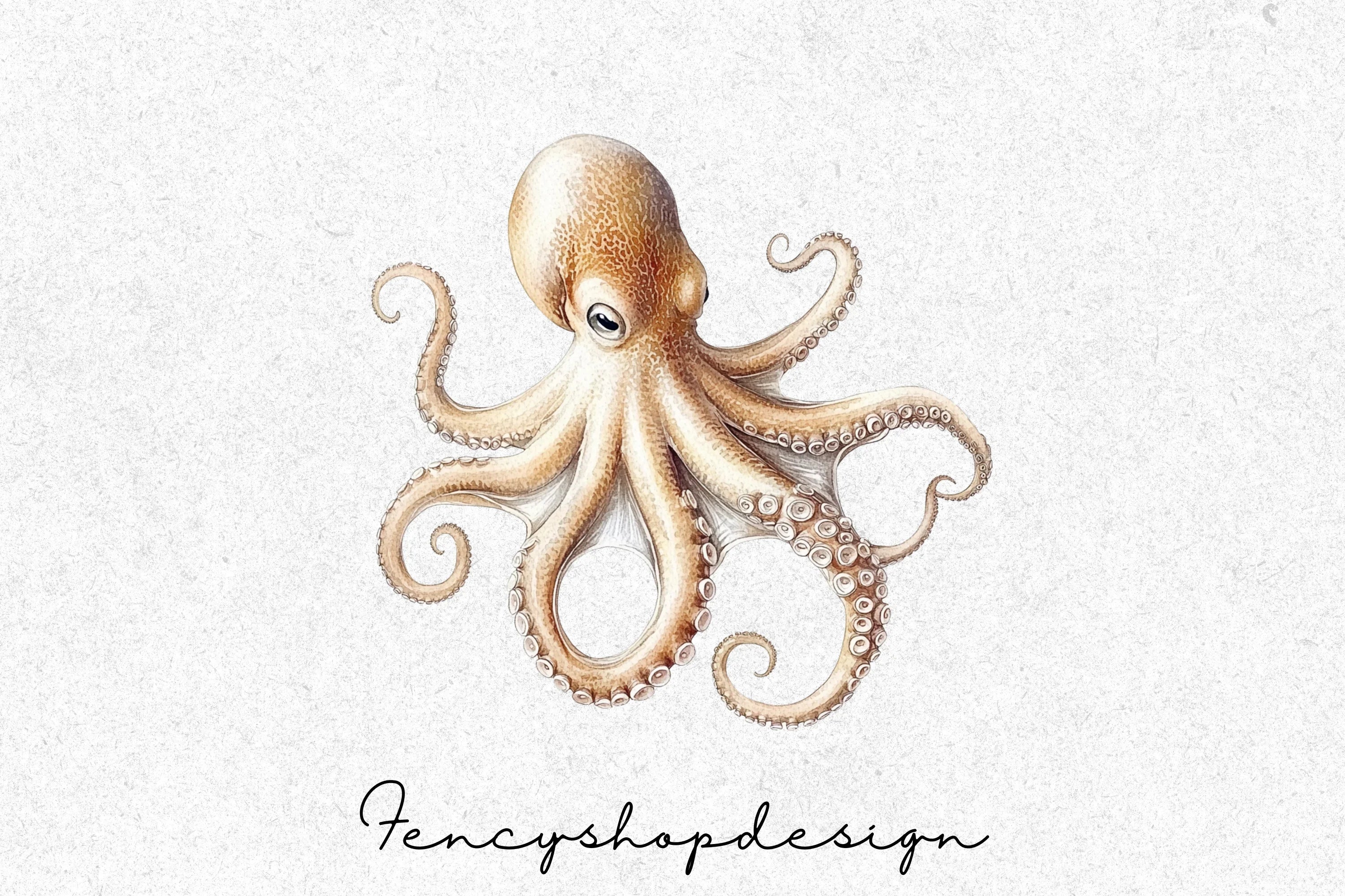 Detailed Octopus Aquatic Life Clipart Bundle