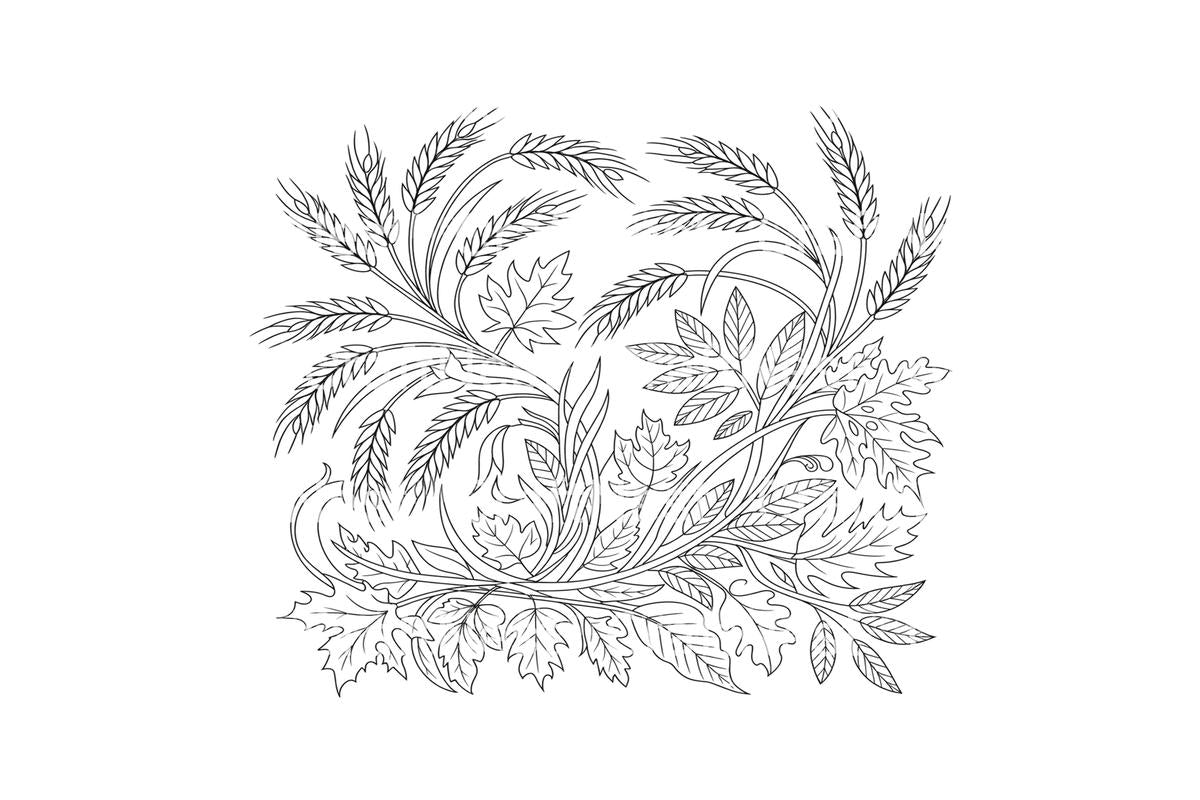 Autumn Harvest Wheat and Leaves Coloring Books