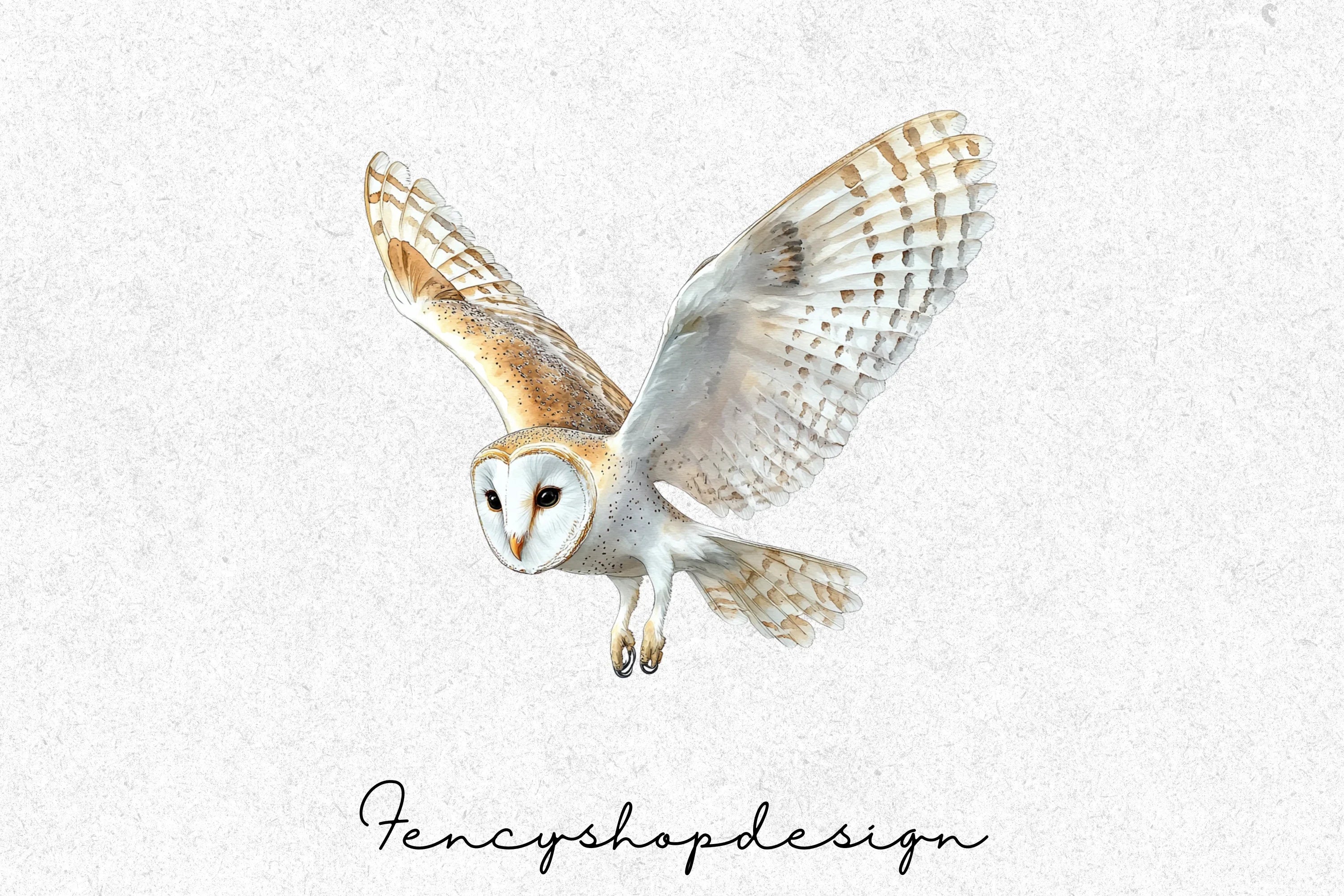 Barn Owl Flying Clipart Bundle