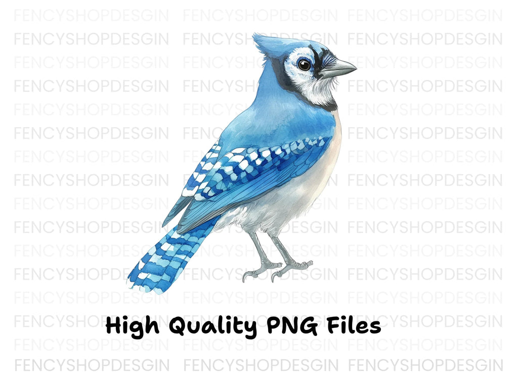 Realistic Blue Jay Bird Clipart Bundle