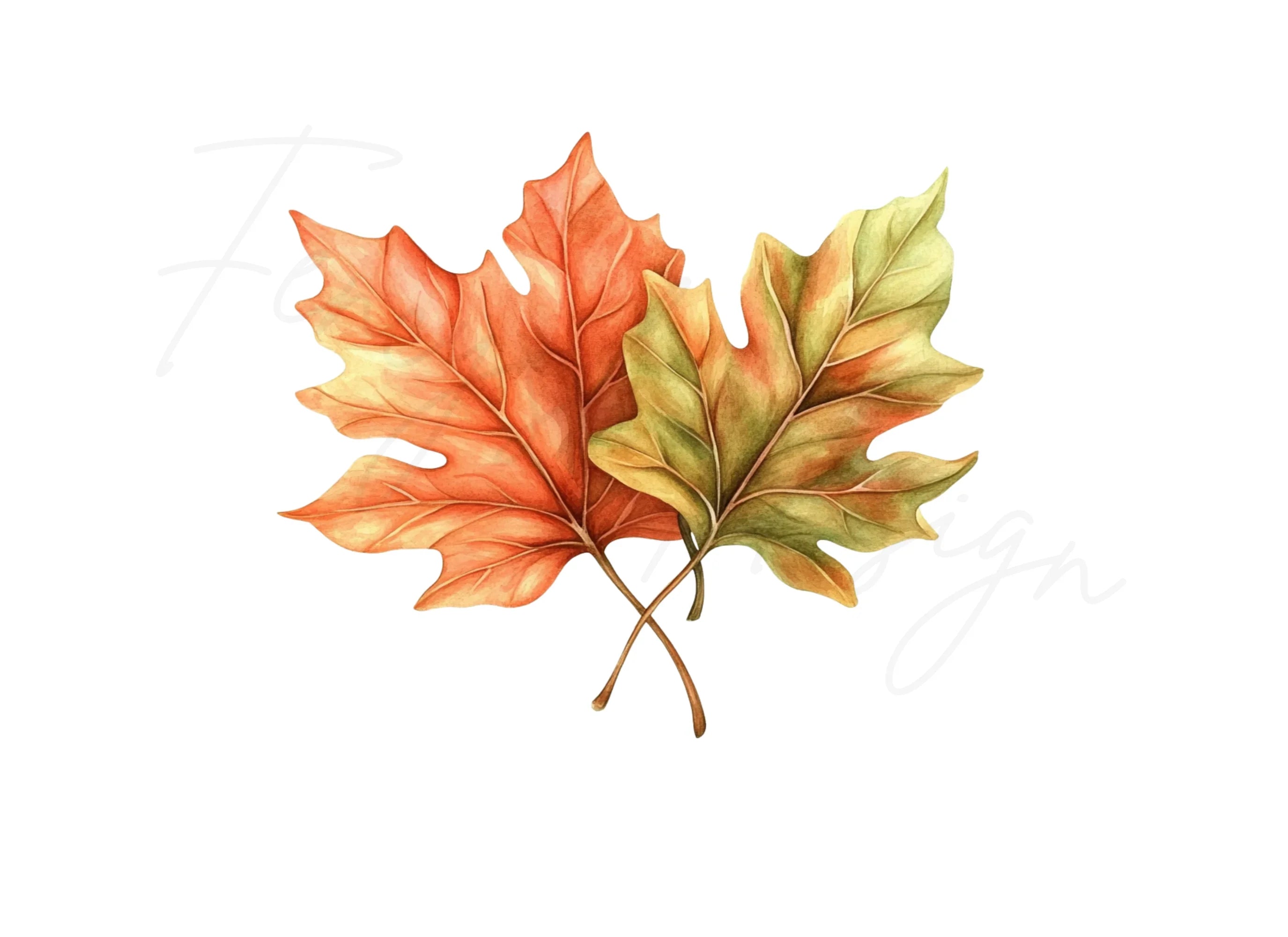 Autumn Leaves Clipart Bundle