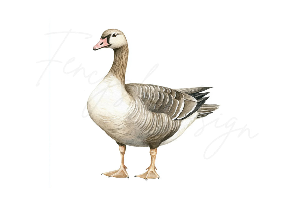 Geese Clipart Bundle