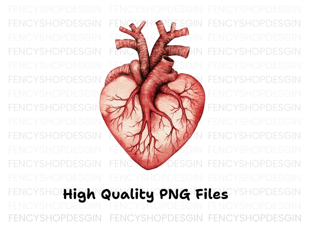 Anatomical Heart Clipart Bundle