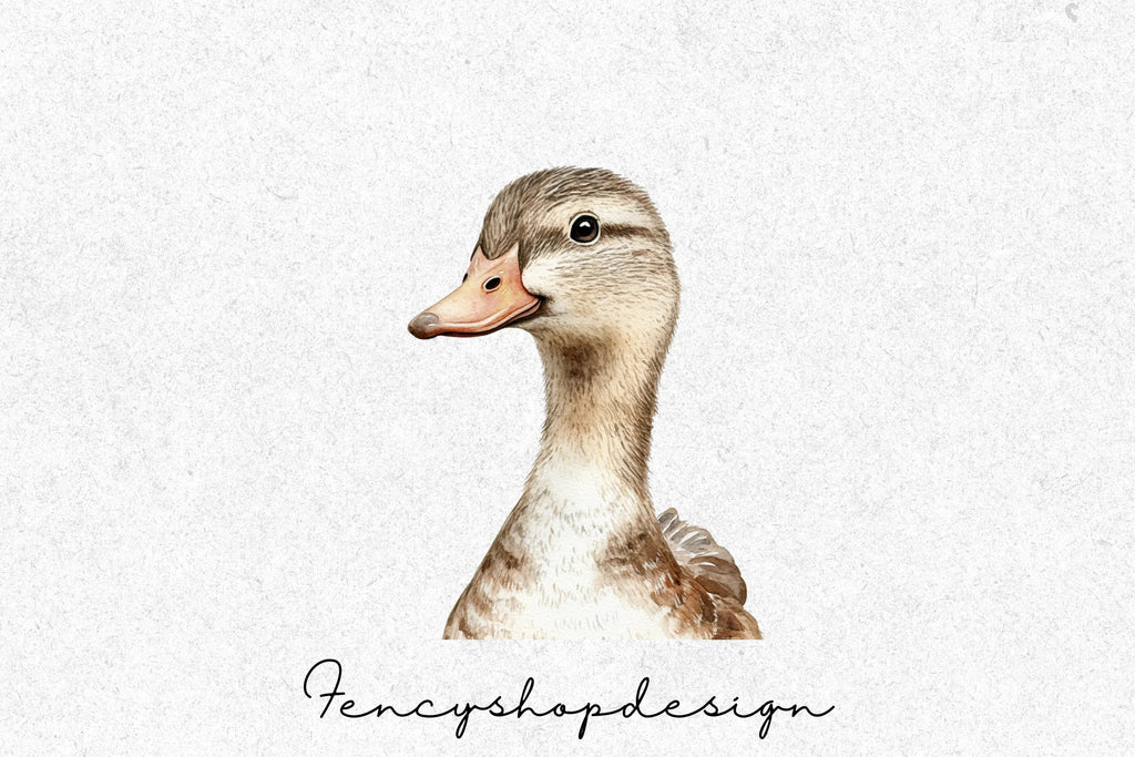 Hand Painted Duck Clipart Bundle