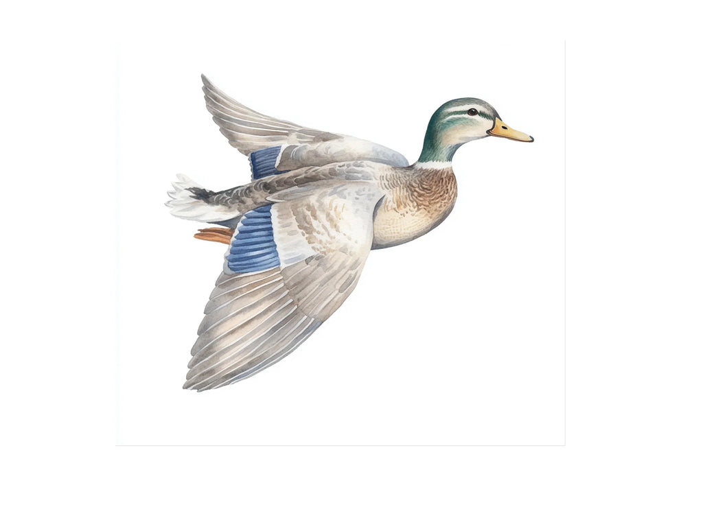 Flying Duck Clipart Bundle