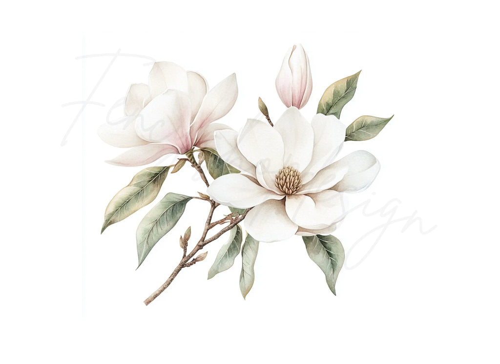 Elegant Magnolia Flower Clipart Bundle