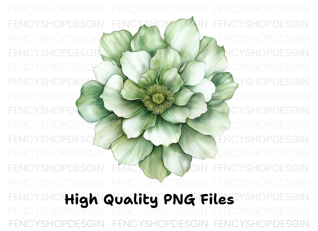 Elegant Green Peony Flower Clipart Bundle
