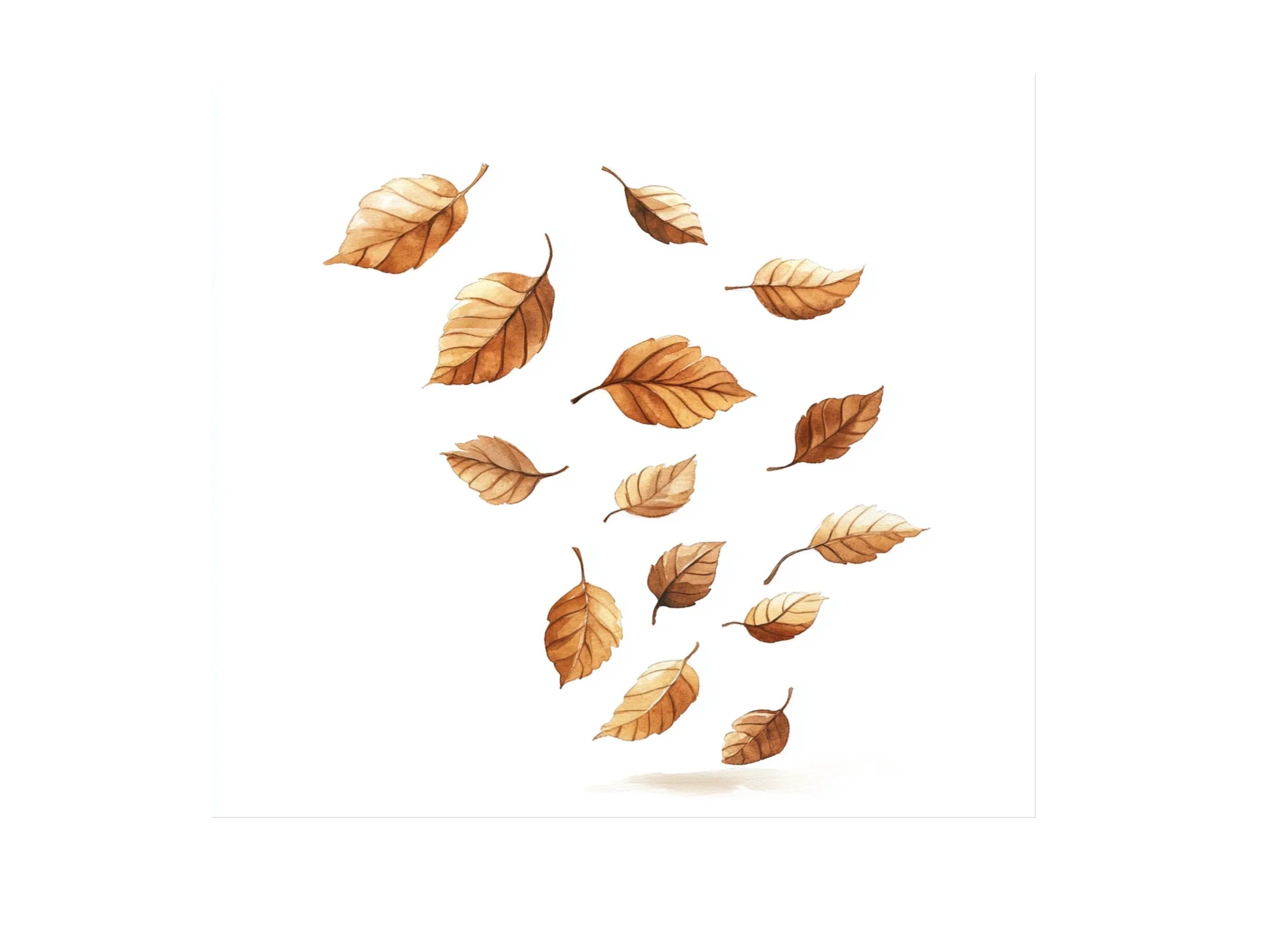 Autumn Leaves Clipart Bundle