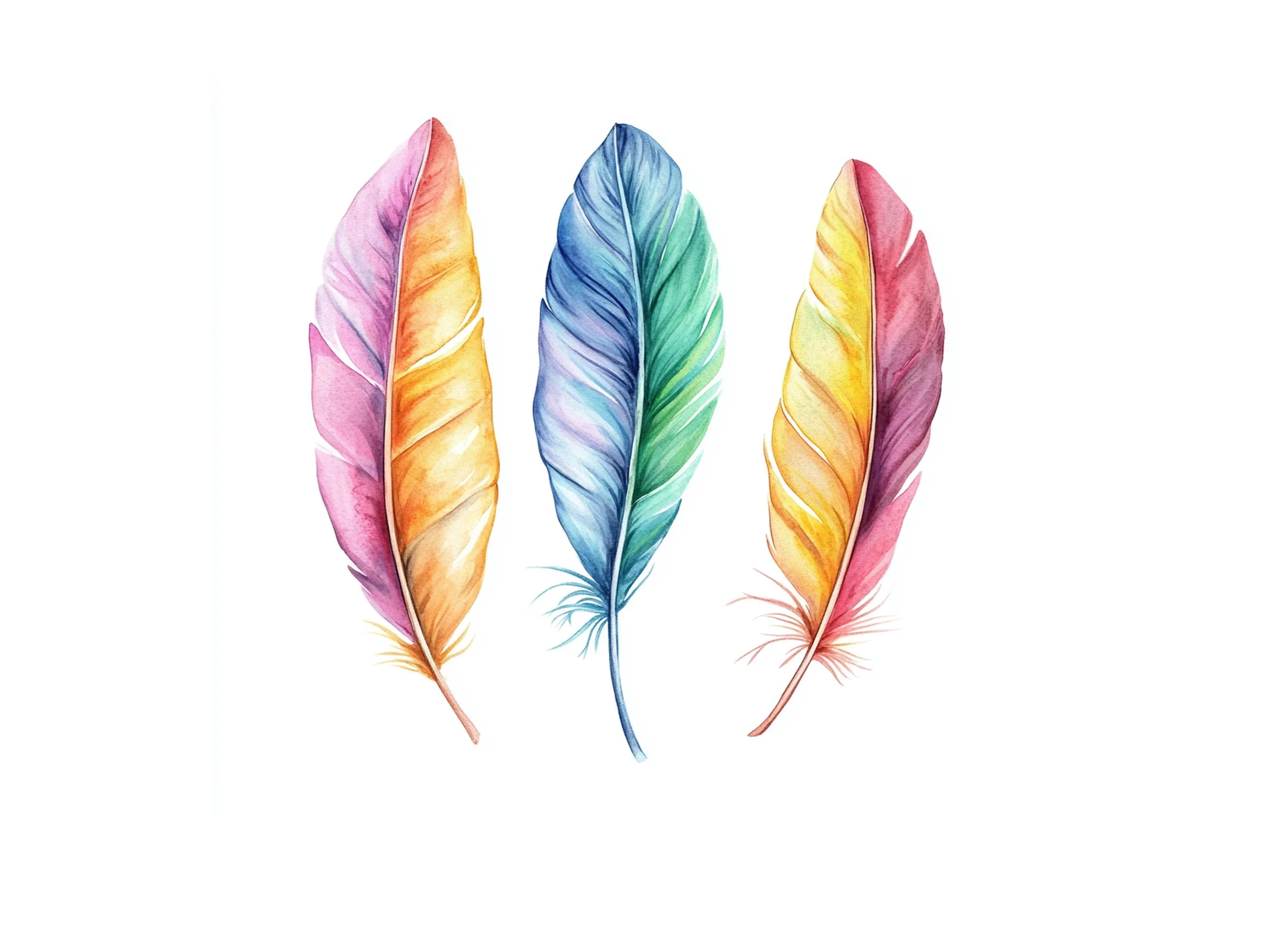 Vibrant Feather Clipart Bundle