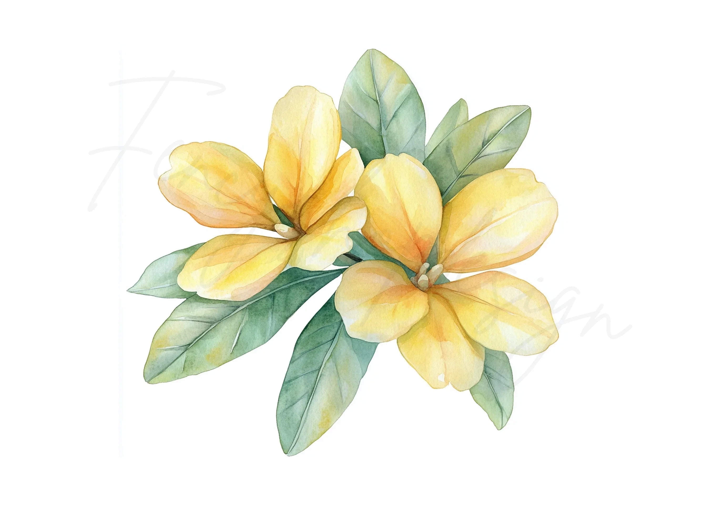 Yellow Floral Leaf Clipart Bundle