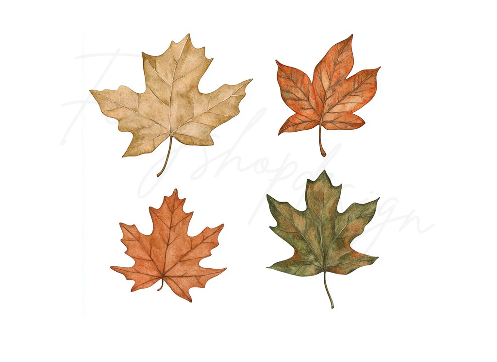 Autumn Leaves Clipart Bundle