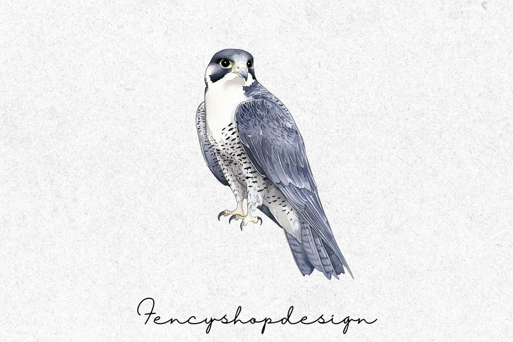 Majestic Falcon Clipart Bundle