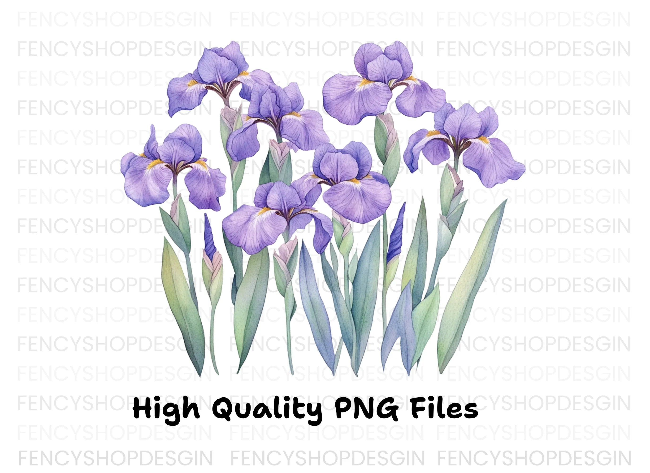 Elegant Purple Iris Flower Clipart Bundle