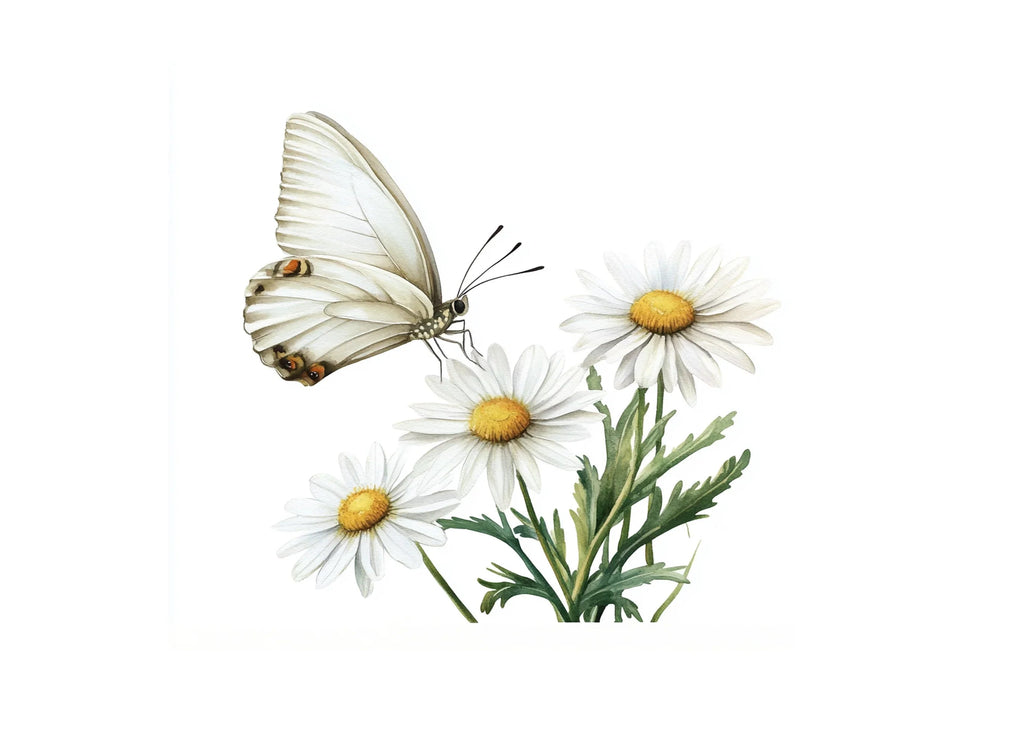 White Butterflies and Daisies Clipart Bundle