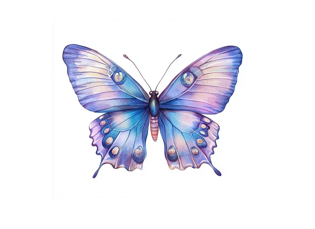 Butterfly Clipart Bundle