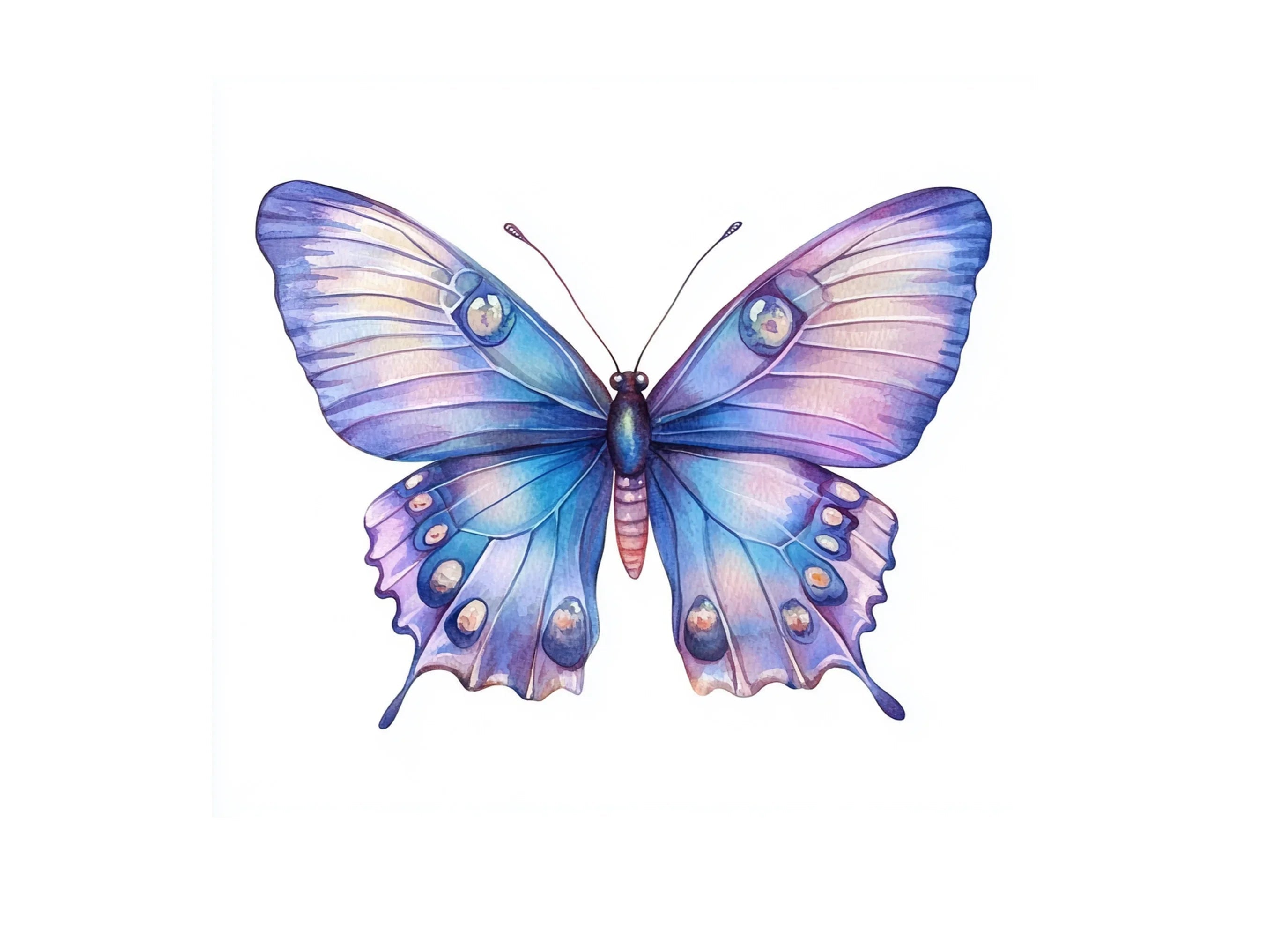 Butterfly Clipart Bundle