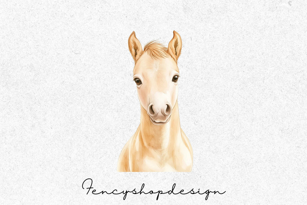 Cute Baby Horse Foal Clipart Bundle