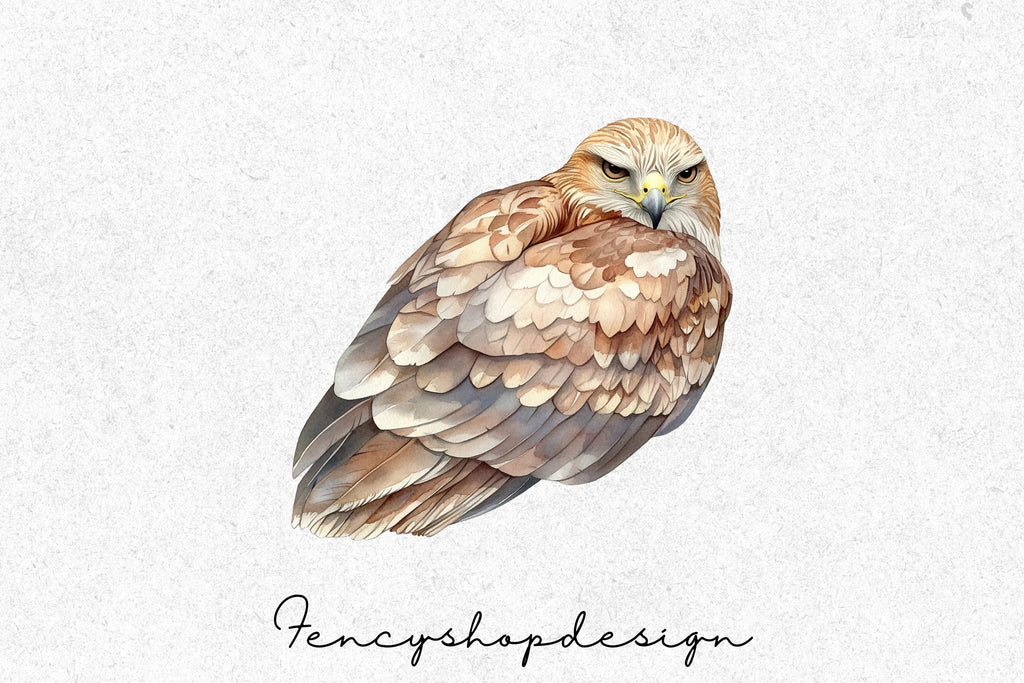 Majestic Hawk Bird Clipart Bundle