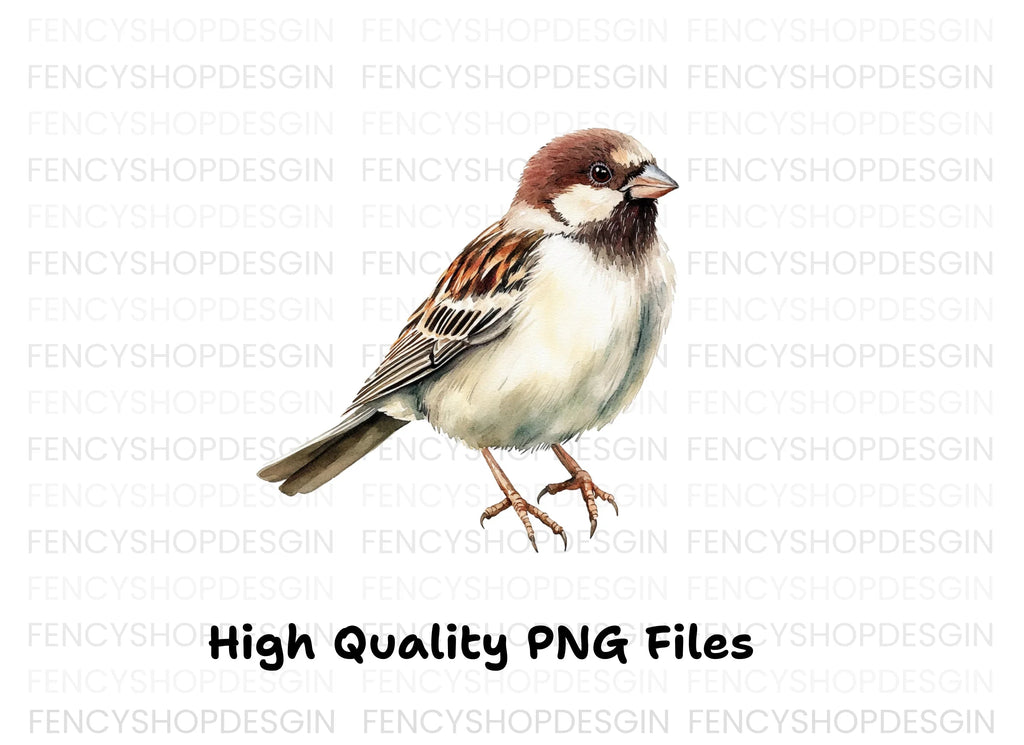 House Sparrow Bird Clipart Bundle