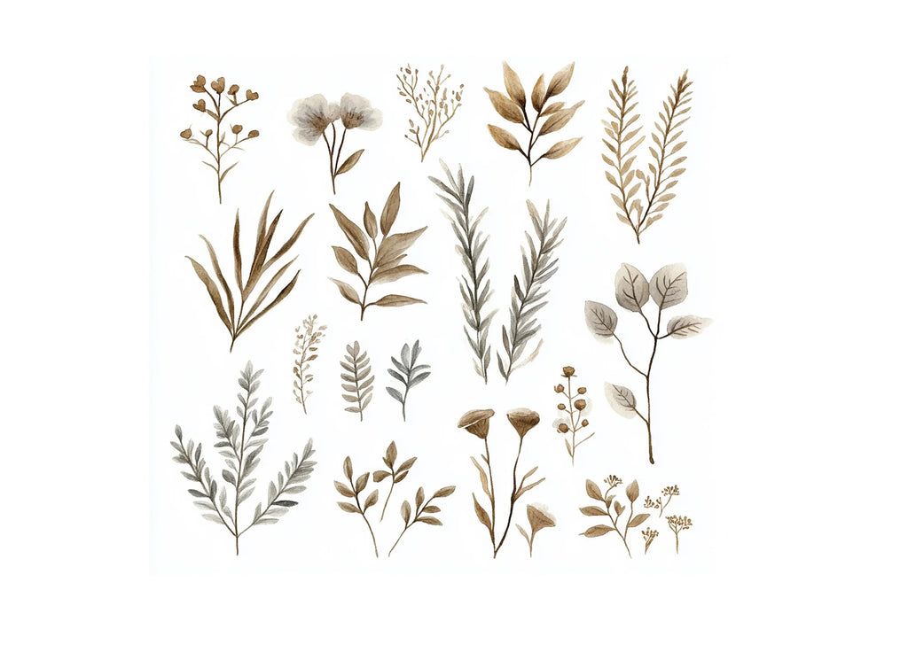 Autumn Botanical Clipart Bundle