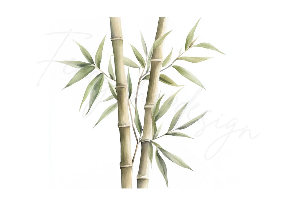 Bamboo Stalks Clipart Bundle