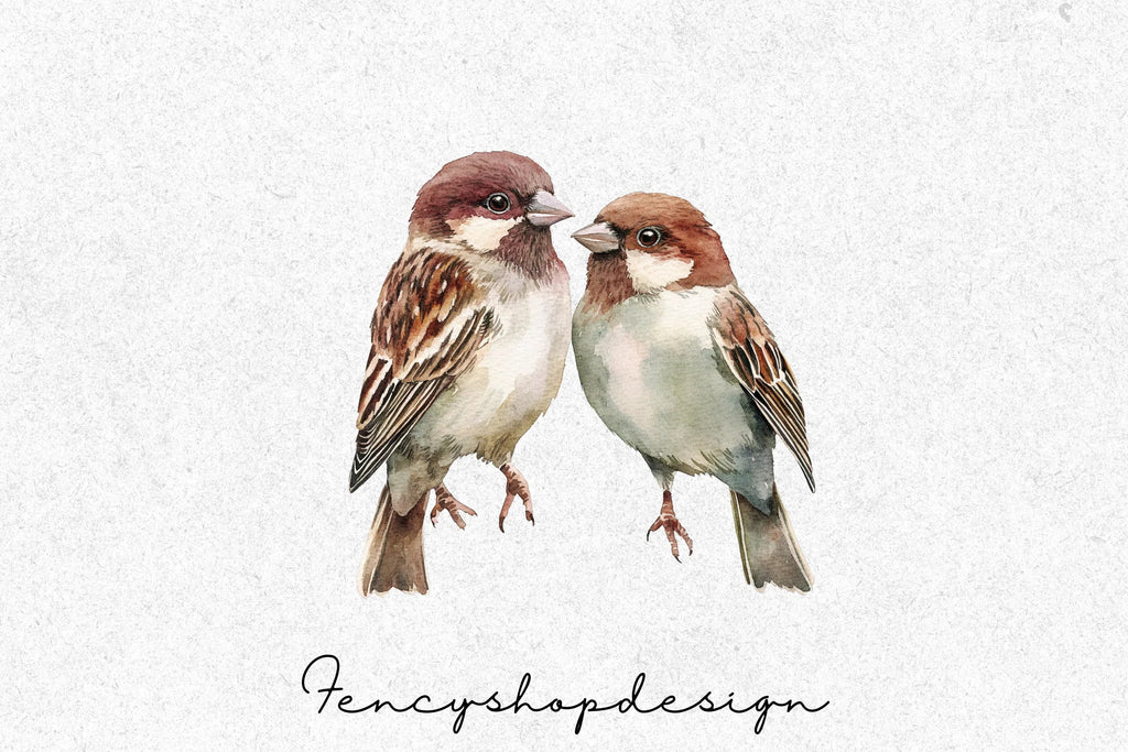 Charming Sparrow Illustrations Clipart Bundle
