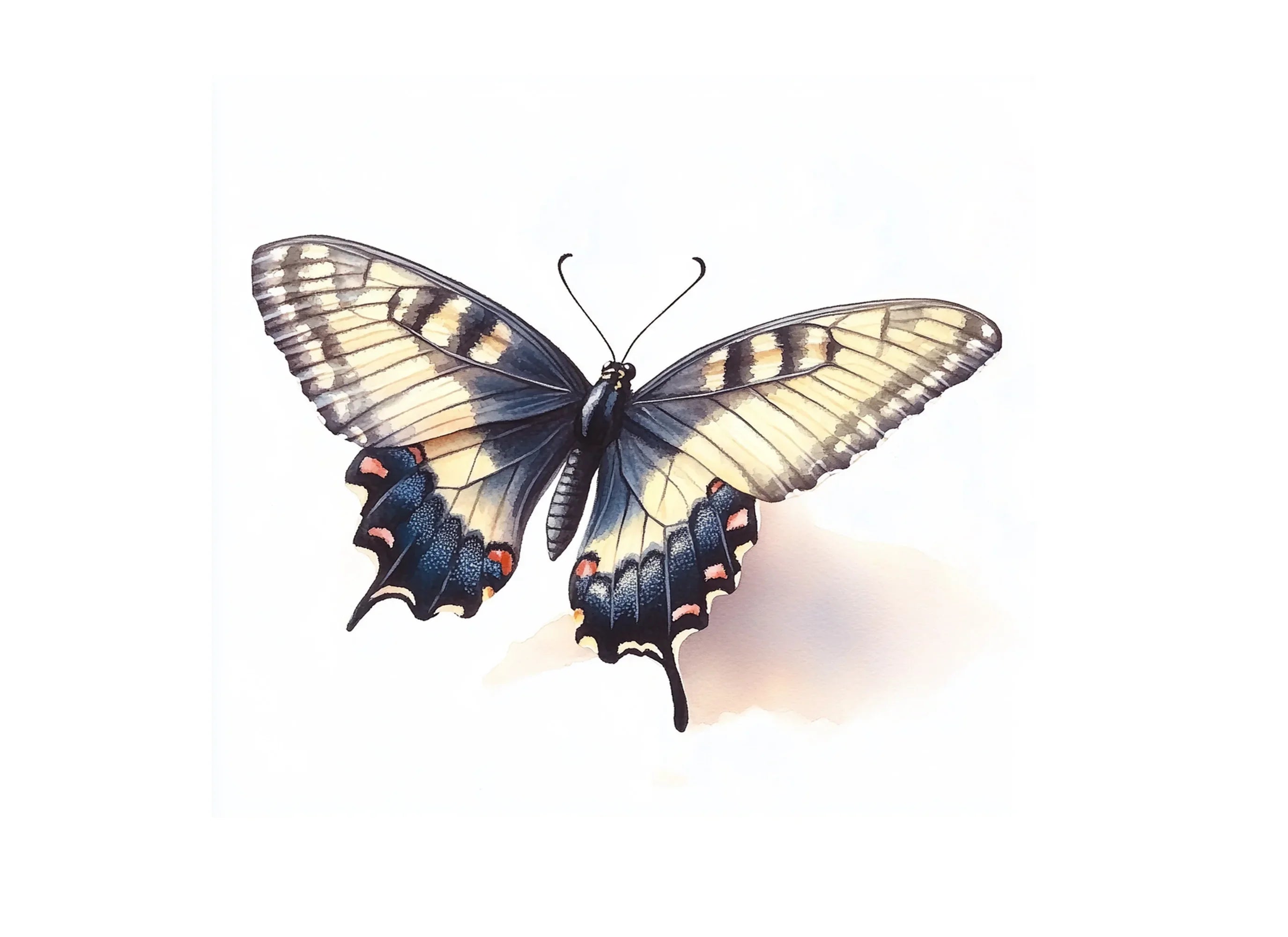 Dynamic Butterfly Clipart Bundle