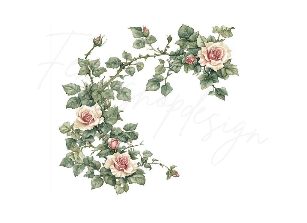 Delicate Rose Vine Corner Clipart Bundle