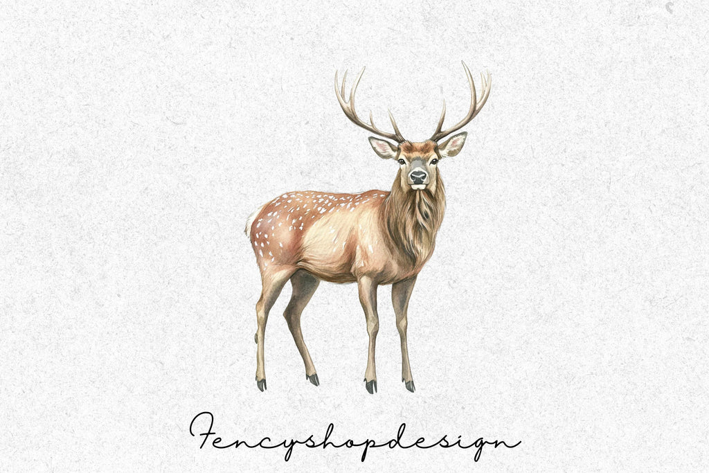 Majestic Realistic Deer Clipart Bundle