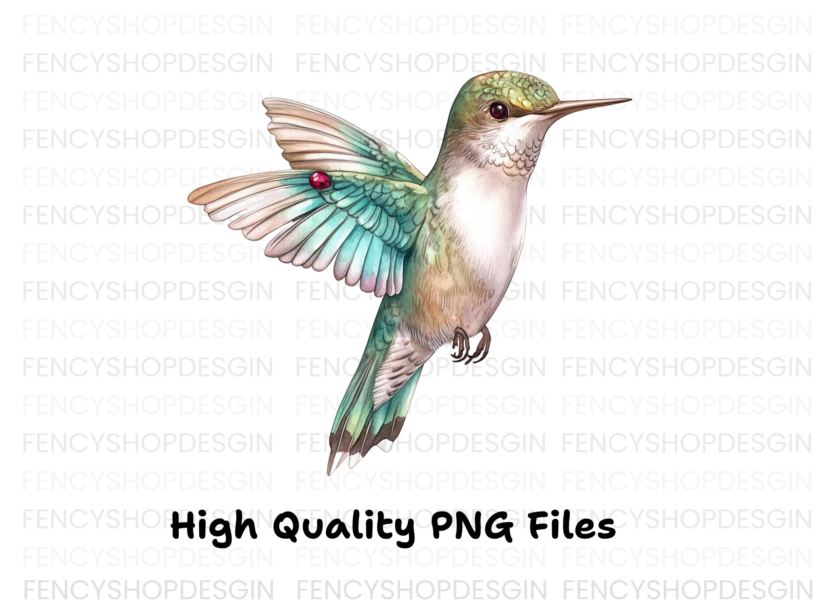 Hummingbird Clipart Bundle