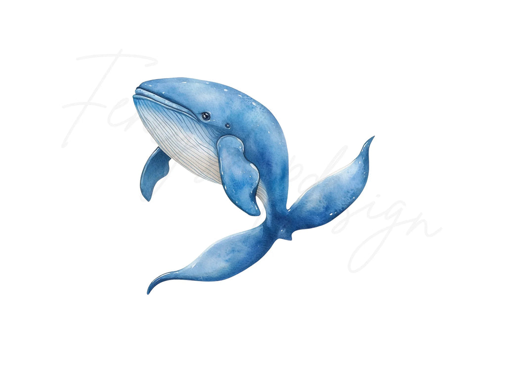 Blue Whale Ocean Clipart Bundle