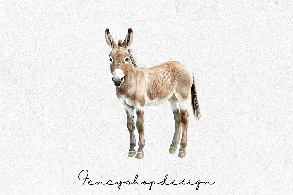 Cute Donkey Clipart Bundle