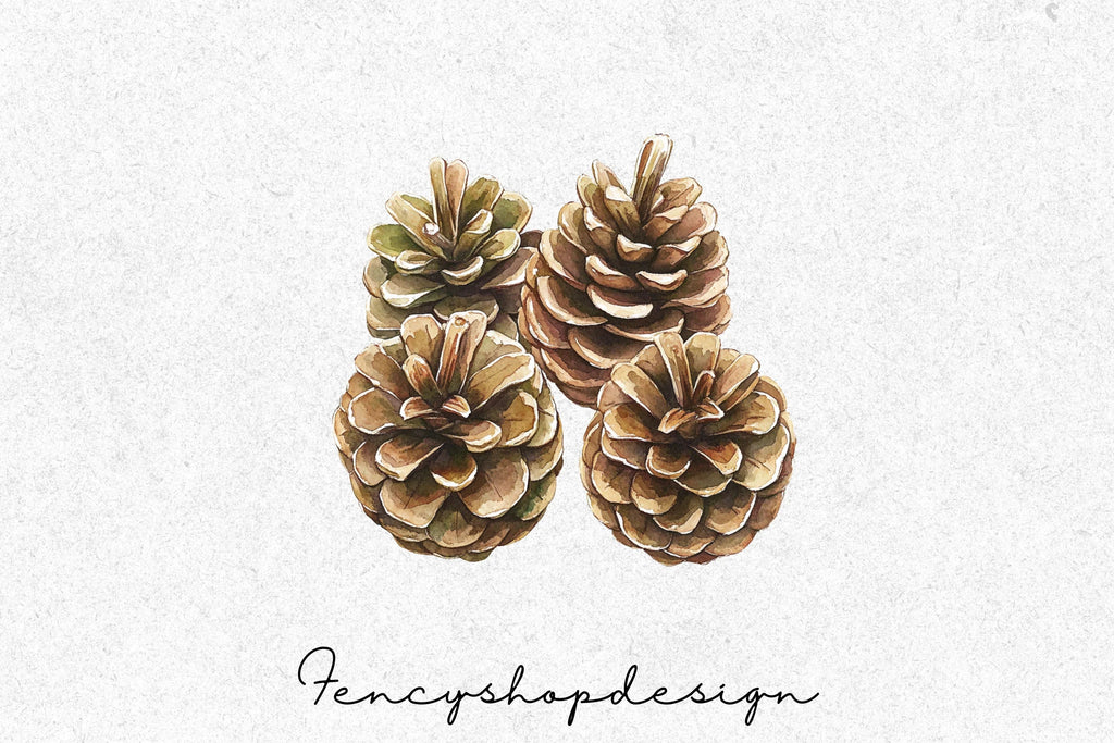 Pinecone Clipart Bundle