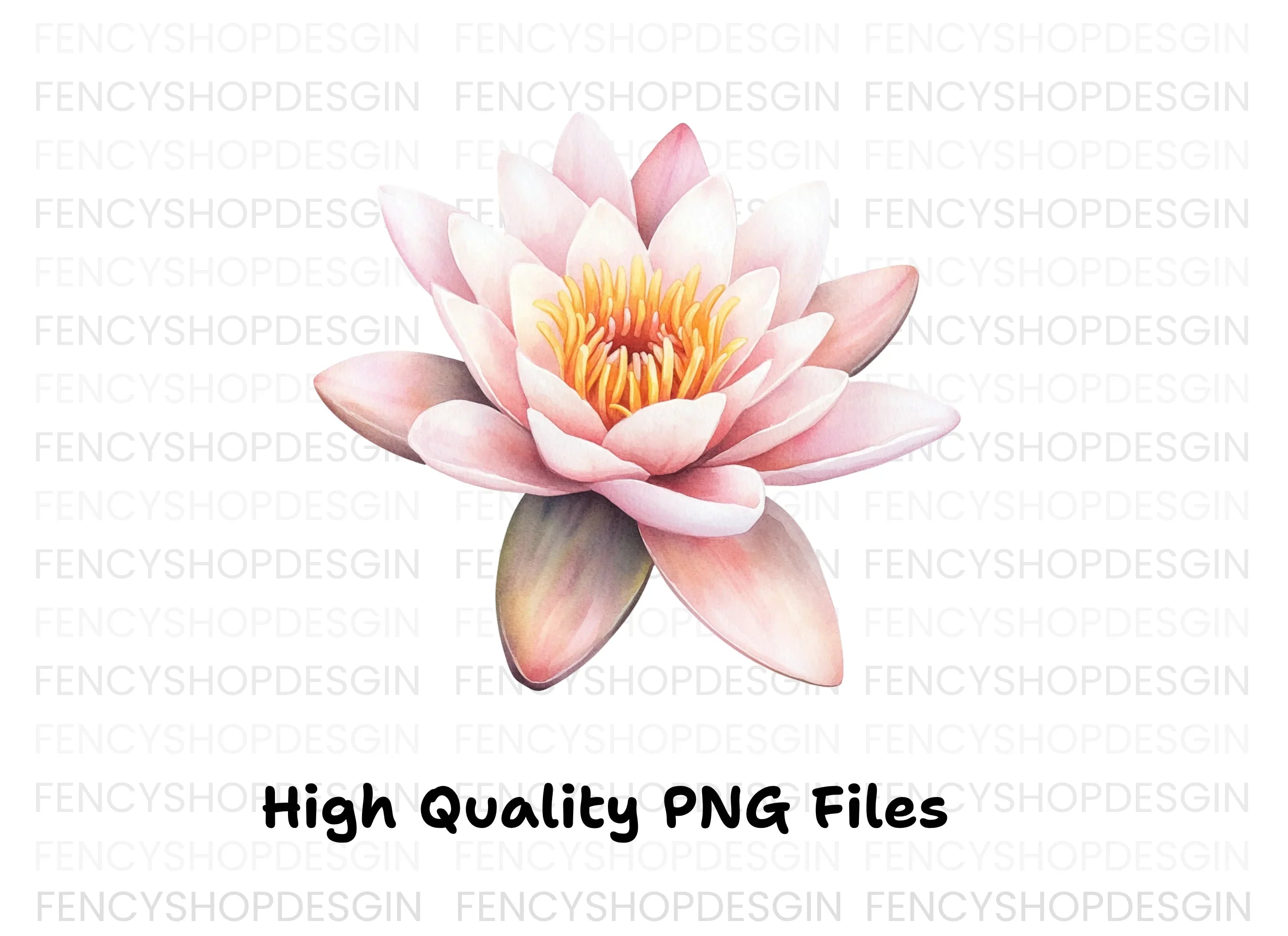 Elegant Water Lily Clipart Bundle